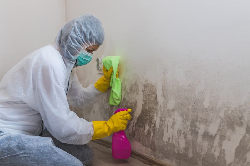 Attic Mold Removal in Broward County, FL
