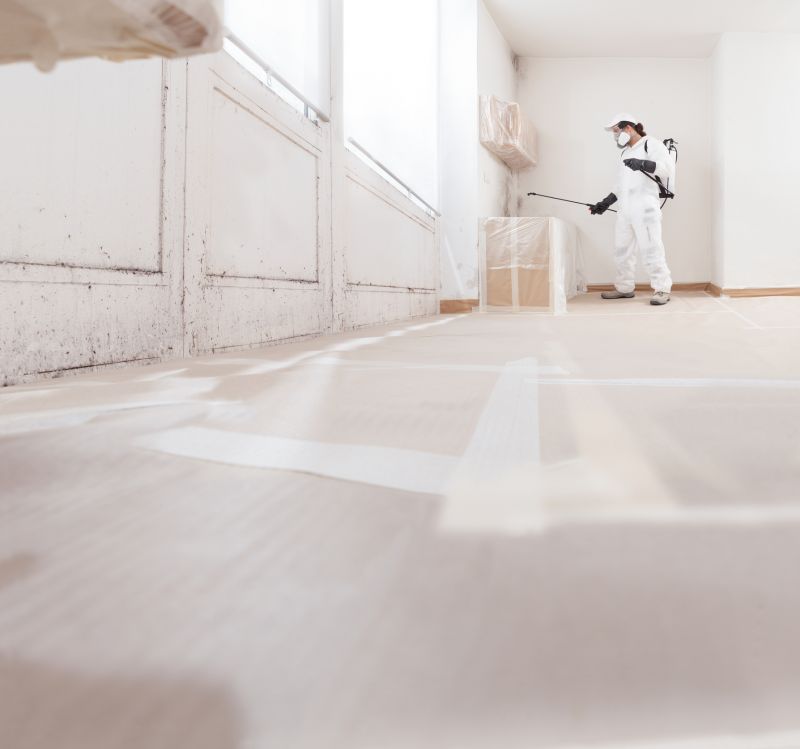 Basement Mold Removal in West Palm Beach, FL