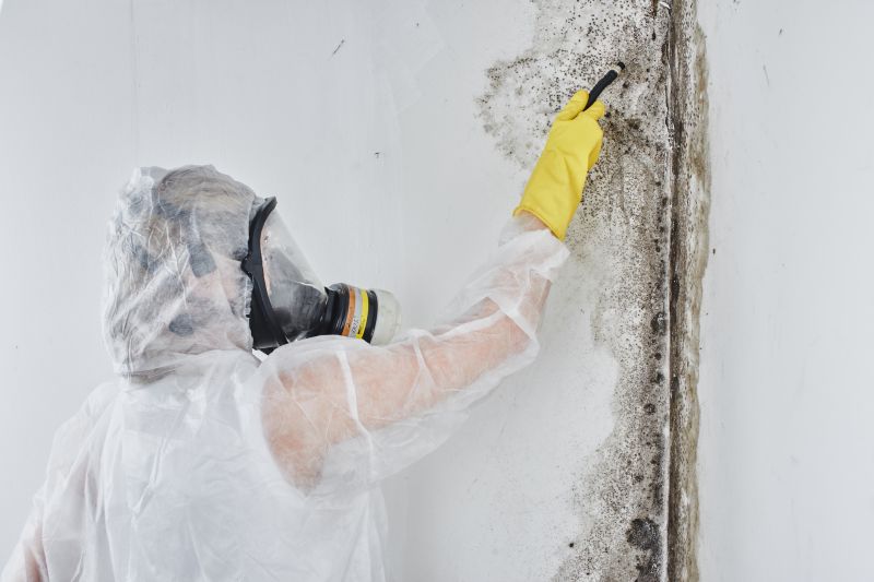 Black Mold Removal in Weatherford, TX