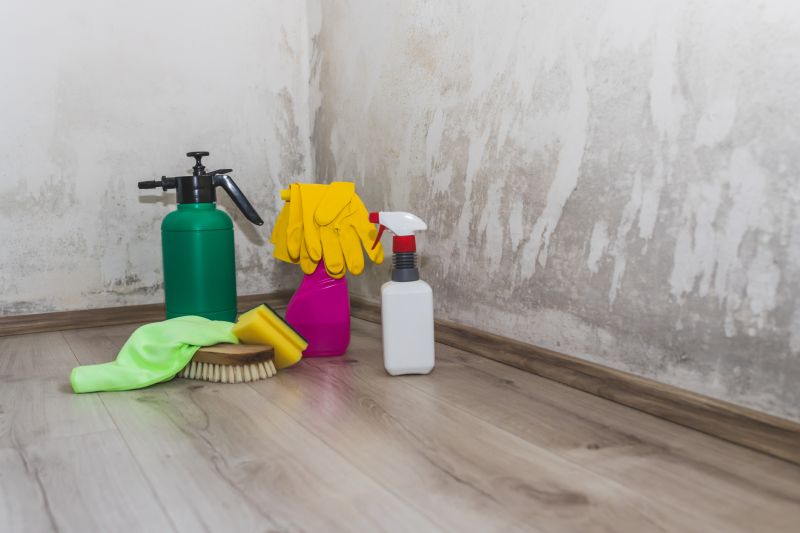 Garage Mold Remediation in Fort Worth, TX