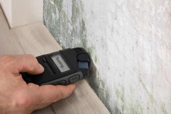 Mold Testing Service
