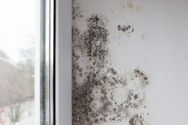 Mold Containment - Mold Containment Roanoke, Virginia