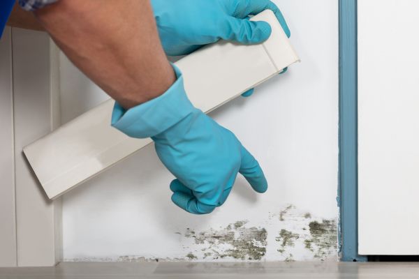 Crawl Space Mold Prevention - Crawl Space Mold Prevention Monument, Colorado