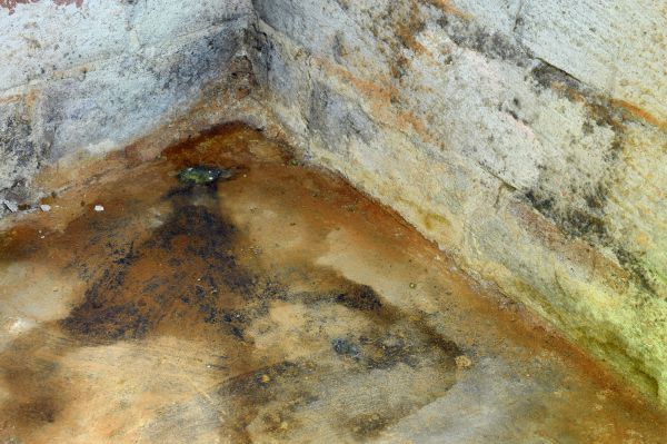 Crawl Space Mold Removal