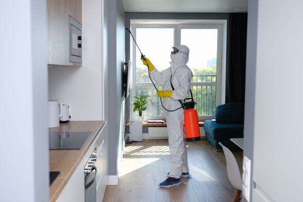 Attic Mold Remediation