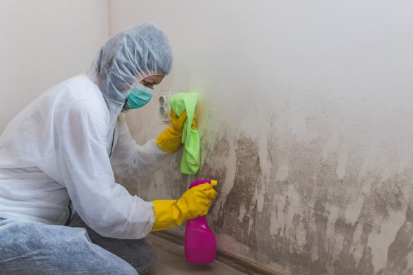 Home Mold Removal - Home Mold Removal Mason, Ohio