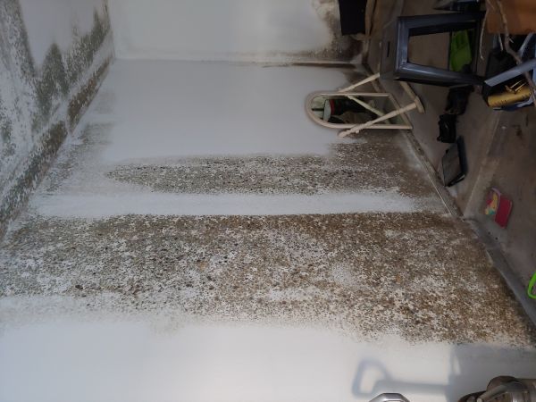 Apartment Mold Screening