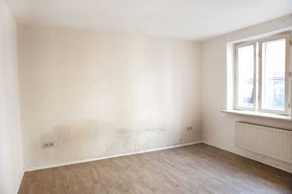 Mildew Cleaning - Mildew Cleaning Roanoke, Virginia