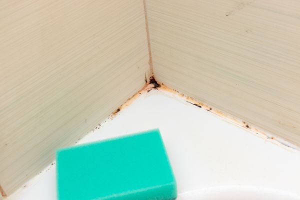 Bathroom Fungus Removal - Bathroom Fungus Removal Duluth, Georgia
