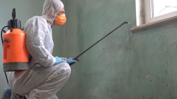 Mildew Treatment