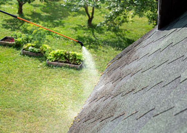 Roof Fungus Removal - Roof Fungus Removal Coeur D Alene, Idaho