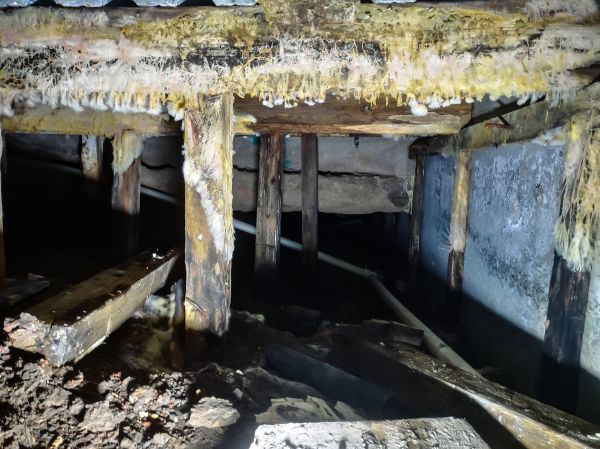 Crawlspace Mold Remediation - Crawlspace Mold Remediation Norfolk County, Massachusetts