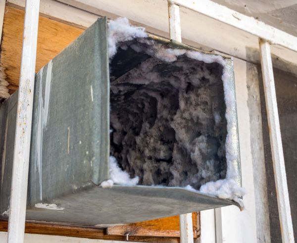 Duct Mold Cleaning - Duct Mold Cleaning Tempe, Arizona