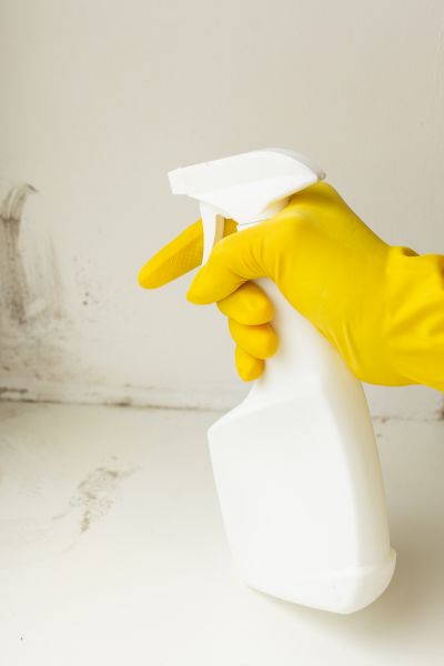 White Mold Removal