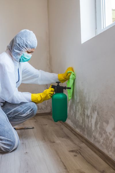 Toxic Mold Removal - Toxic Mold Removal Green Bay, Wisconsin