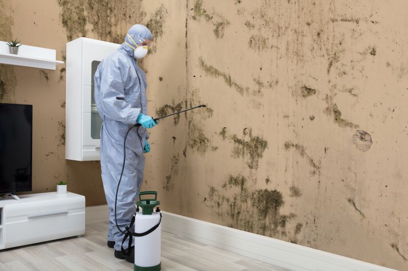 Black Mold Removal in Rockwall, TX