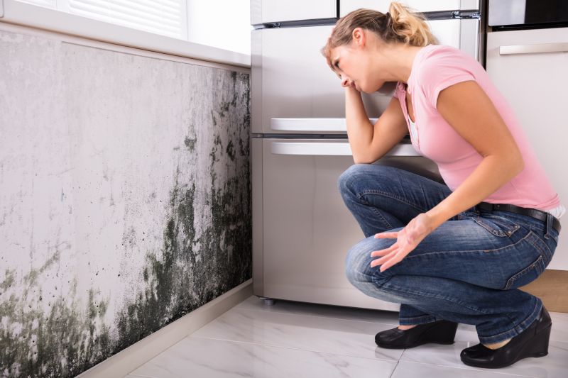 Black Mold Removal in Rockwall, TX