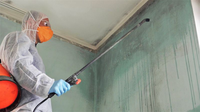 Ceiling Mold Removal in Fort Lauderdale, FL