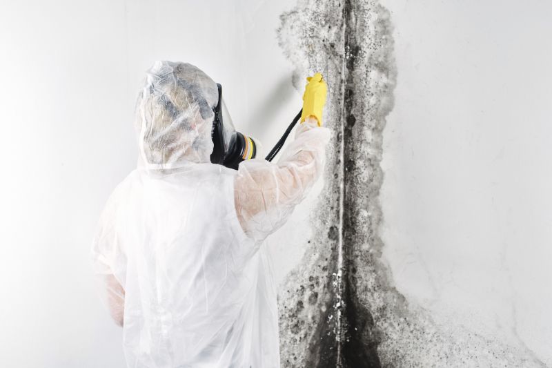 Garage Mold Remediation in Bergen County, NJ