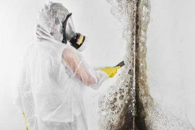 Mold Inspection And Removal in Rockwall, TX
